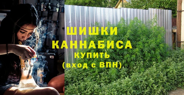 стаф Козельск